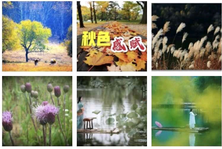 ·诗词小辑·【桂殿秋·白露为霜】 文/风鸽（张晓峰）【冰心文化传媒】（图4）