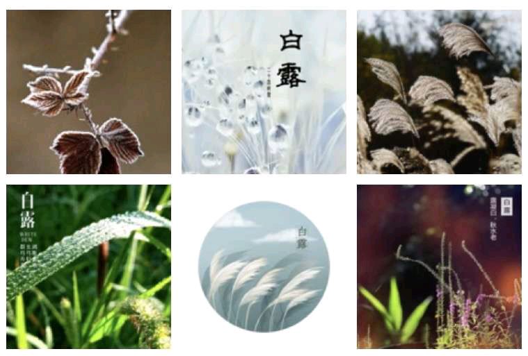 ·诗词小辑·【桂殿秋·白露为霜】 文/风鸽（张晓峰）【冰心文化传媒】（图3）