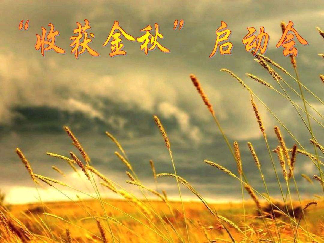 〔诗词小辑〕王新华（河北）【冰心文化传媒】（图14）