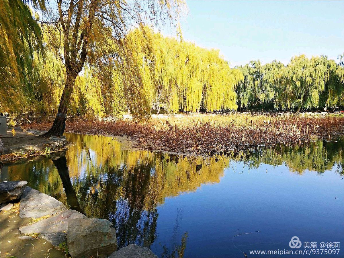 〔诗词小辑〕王新华（河北）【冰心文化传媒】（图9）