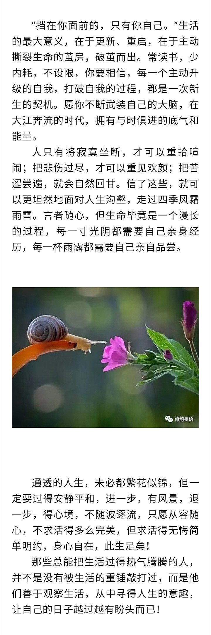 寰俊鍥剧墖_20220918193231.jpg