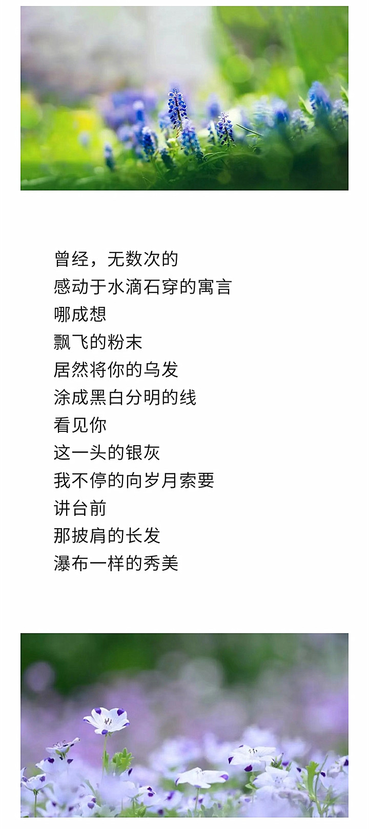寰俊鍥剧墖_20220918195034_鍓湰.jpg