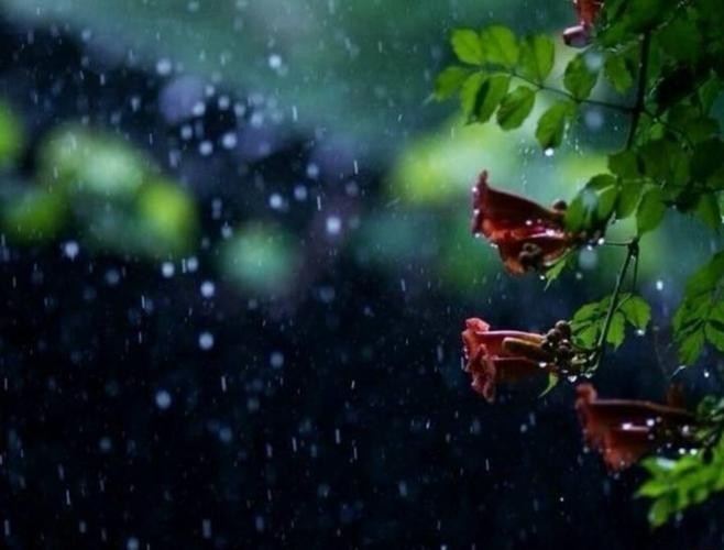 【经典推荐】昨夜天//把酒叹轻寒 秋夜听雨（图3）