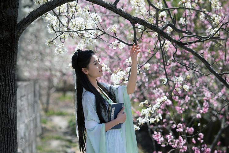 【经典推荐】昨夜天//把酒叹轻寒 秋夜听雨（图5）
