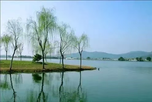 【中篇小说】满彩第六章文/周德香(图2)