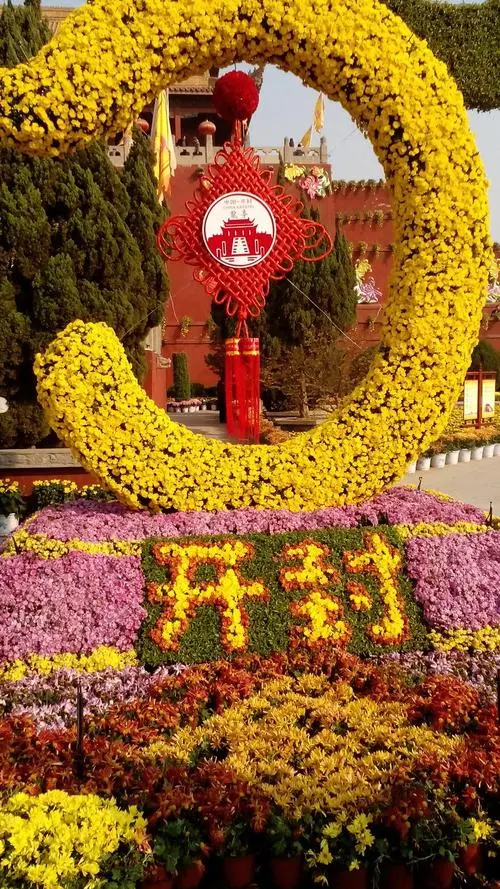 菊 花‖文图/赵京江，书法/太行山人武功（图13）