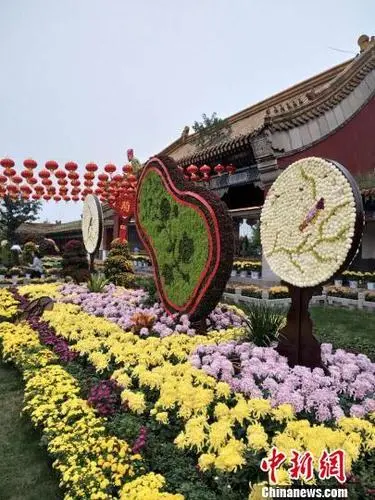 菊 花‖文图/赵京江，书法/太行山人武功（图9）