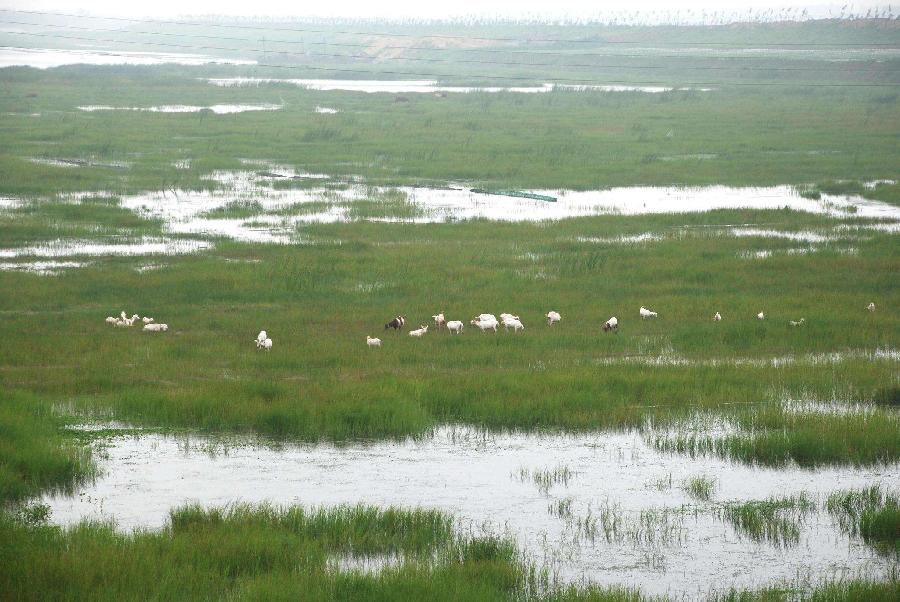 沭河传说(图8)