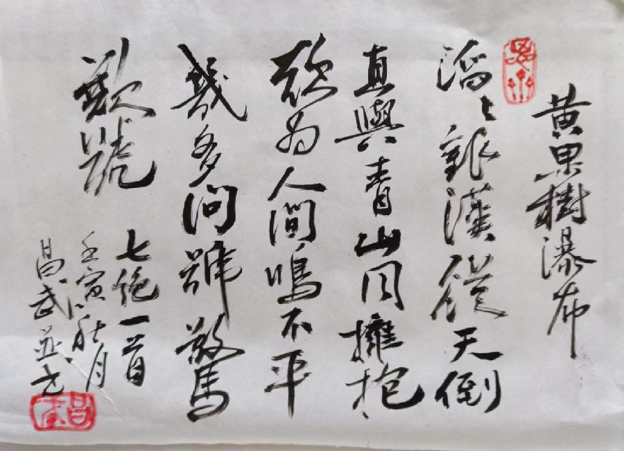 《两瀑一山一树咏叹》作者：张昌武（图6）