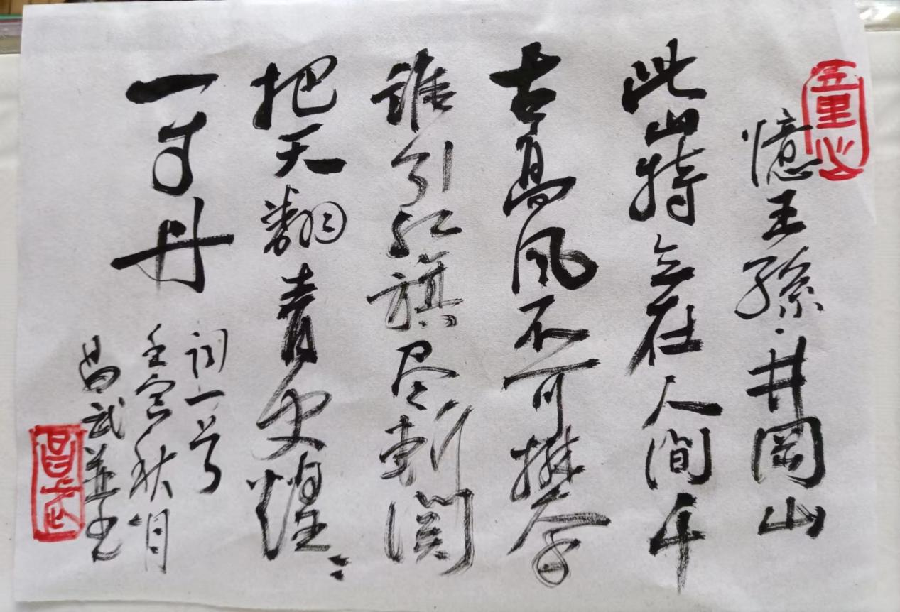《两瀑一山一树咏叹》作者：张昌武（图8）