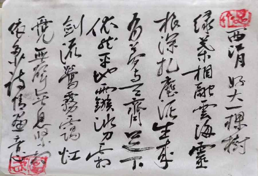 《两瀑一山一树咏叹》作者：张昌武（图10）