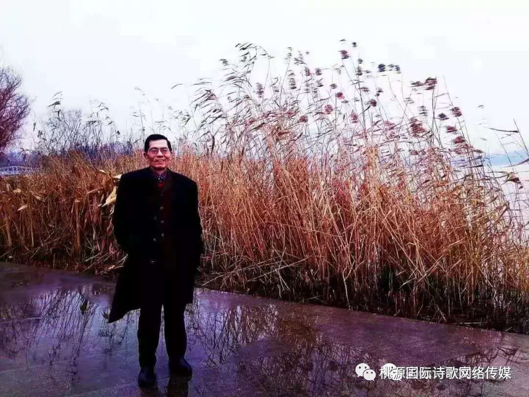 《日落的沉默》作者:林野（凌明)（武汉）【主播:金牌主播:玫瑰心】【桃源国际诗歌集团】[桃源♬ 馨]（图8）