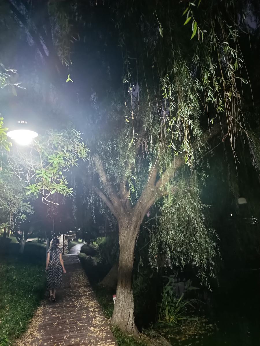 永遇乐·秋夜思(苏轼体)作者:吴云钦