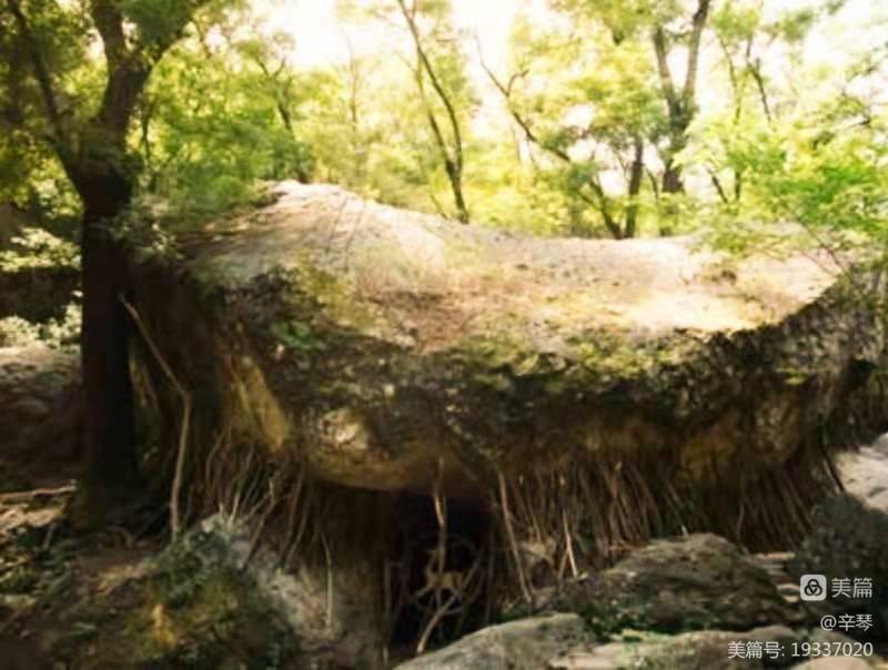 中华诗艺龙江分社推介/韩明华藏头步韵举门游衍逢寒露(图7)