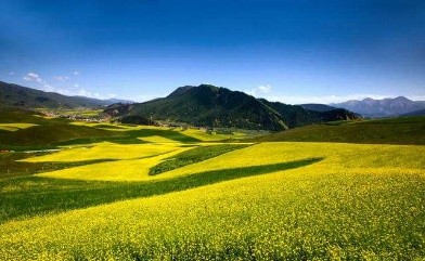 朗诵《土地情诗》主播：渝钟语、巴渝汉、保龄、Amanda、化虹、致远方（图2）