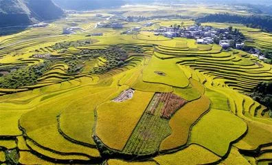 朗诵《土地情诗》主播：渝钟语、巴渝汉、保龄、Amanda、化虹、致远方（图3）