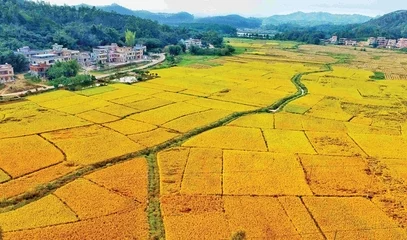 朗诵《土地情诗》主播：渝钟语、巴渝汉、保龄、Amanda、化虹、致远方（图4）