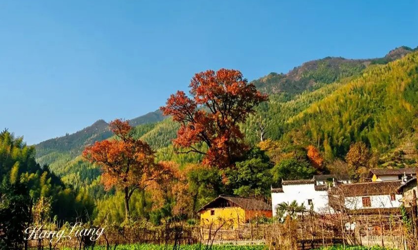 赵国伟诗歌《秋到小山村》主播：雯煜；编辑：小鱼儿 【北疆头条】（第296期）（图2）