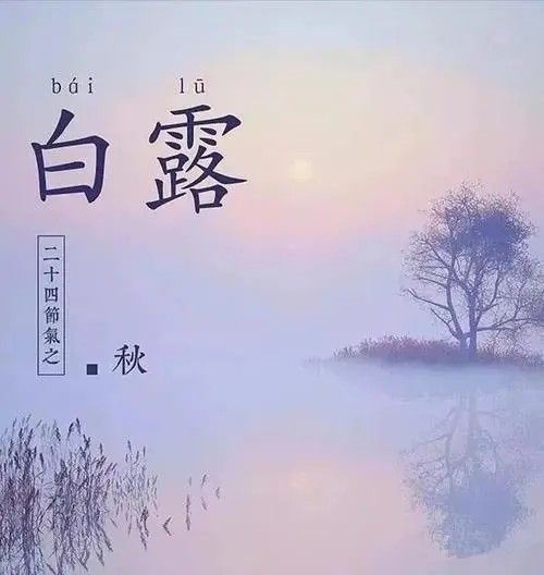 《白露又秋风》作者:风彩【主播:金牌主播:知语】【桃源国际诗歌集团】[桃源♬ 馨声]（图5）