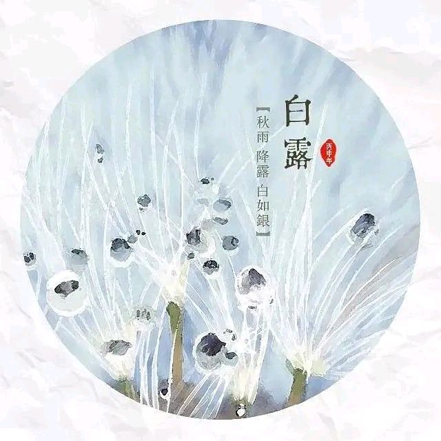 《白露又秋风》作者:风彩【主播:金牌主播:知语】【桃源国际诗歌集团】[桃源♬ 馨声]（图6）