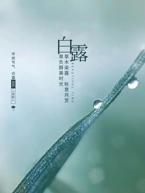 《白露又秋风》作者:风彩【主播:金牌主播:知语】【桃源国际诗歌集团】[桃源♬ 馨声]（图7）