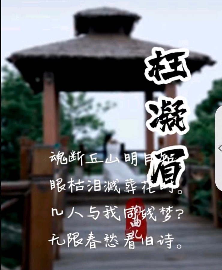 〔诗词小辑〕诗人 煮酒话诗轩（湖北）【冰心文化传媒】（图5）