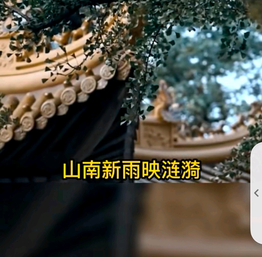 〔诗词小辑〕诗人 煮酒话诗轩（湖北）【冰心文化传媒】（图10）
