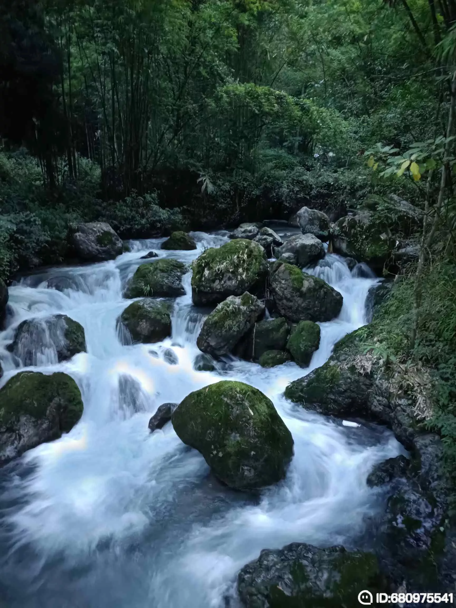 欣赏五绝 ·水 作者:盛魁（图2）
