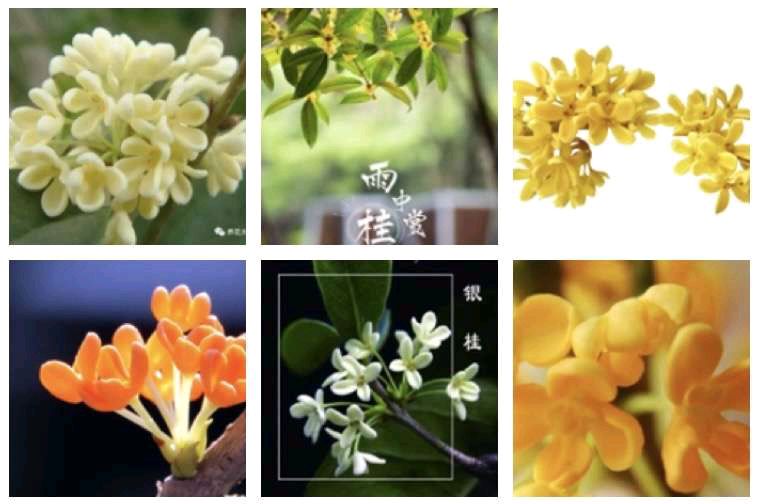 〔诗词小辑〕文/风鸽（张晓峰）【冰心文化传媒】（图5）