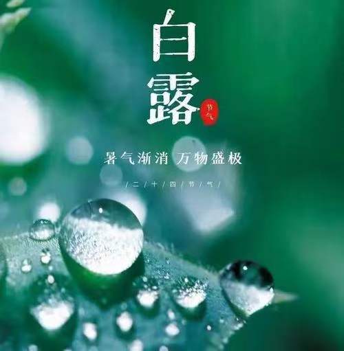 于金奎七律十首 (2022.9.1~9.10)(图10)