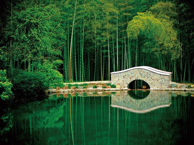 【华夏名篇】分享方亮老师《竹林趣》请欣赏（图4）