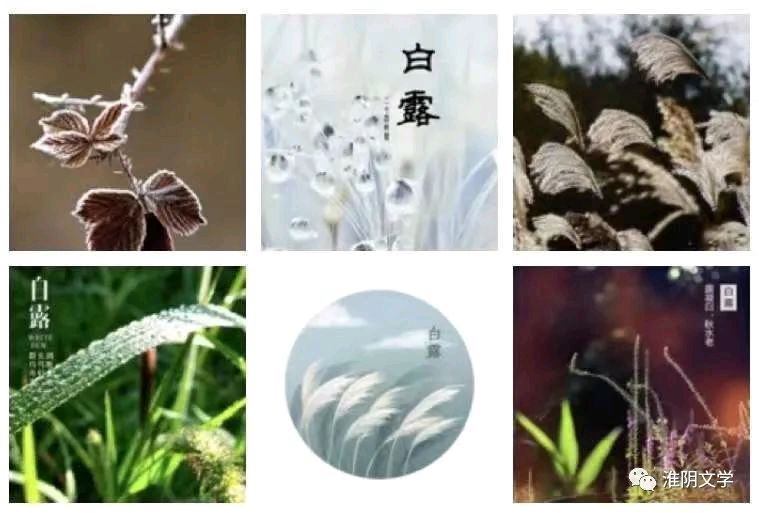〔诗词小辑〕文/风鸽（张晓峰）【冰心文化传媒】（图4）
