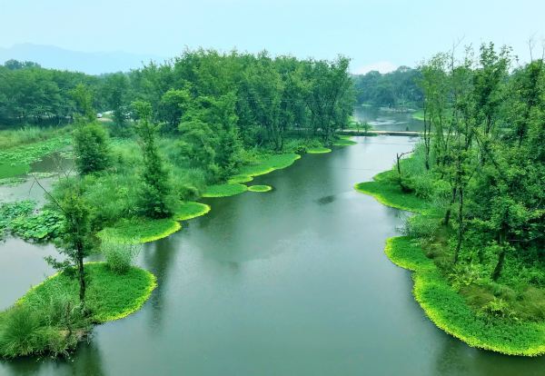 《秋风》（外八首）作者：瞿建军（图3）