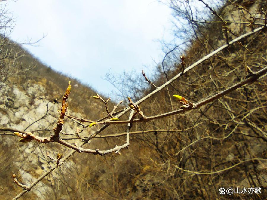 石家庄井陉固兰村，千年古村落，一山温暖了春天，一山美艳了秋天（图6）