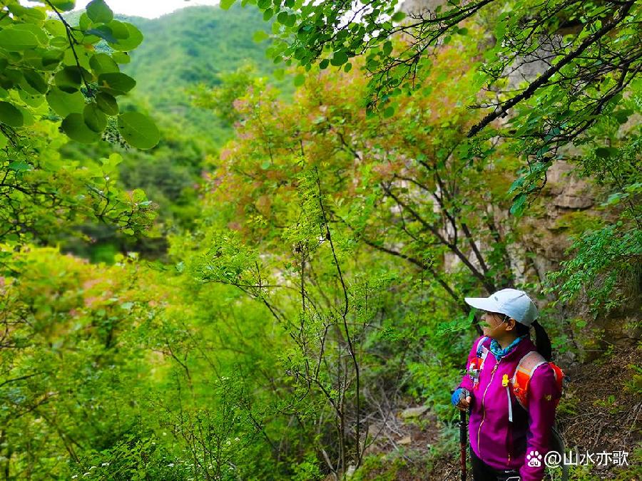 石家庄井陉固兰村，千年古村落，一山温暖了春天，一山美艳了秋天（图12）