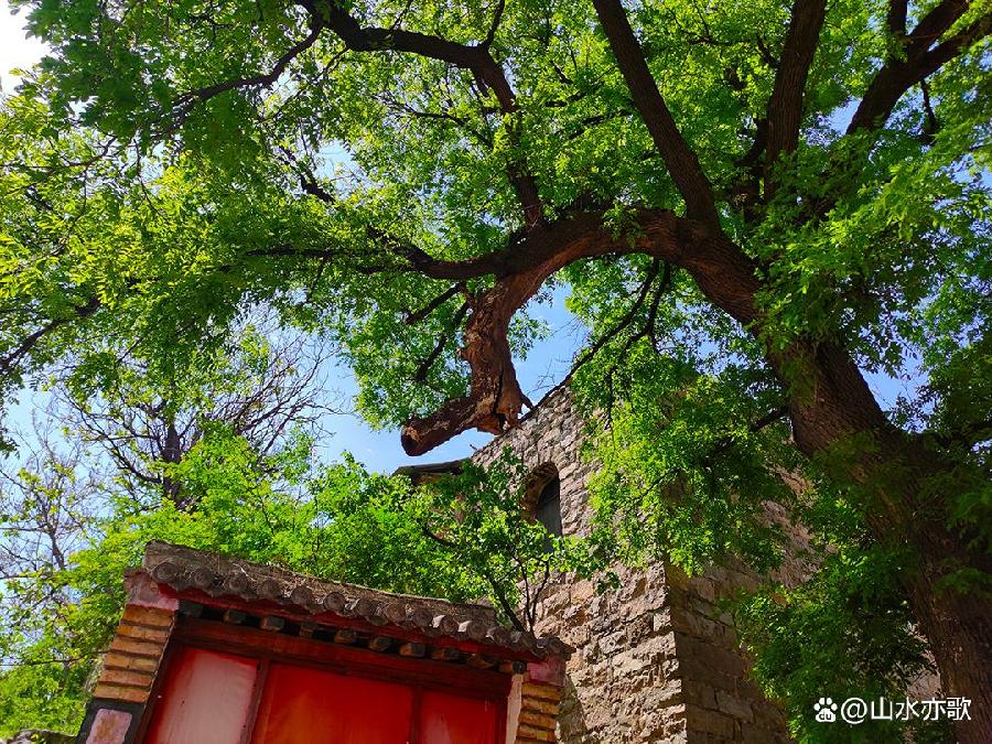 石家庄井陉固兰村，千年古村落，一山温暖了春天，一山美艳了秋天（图15）