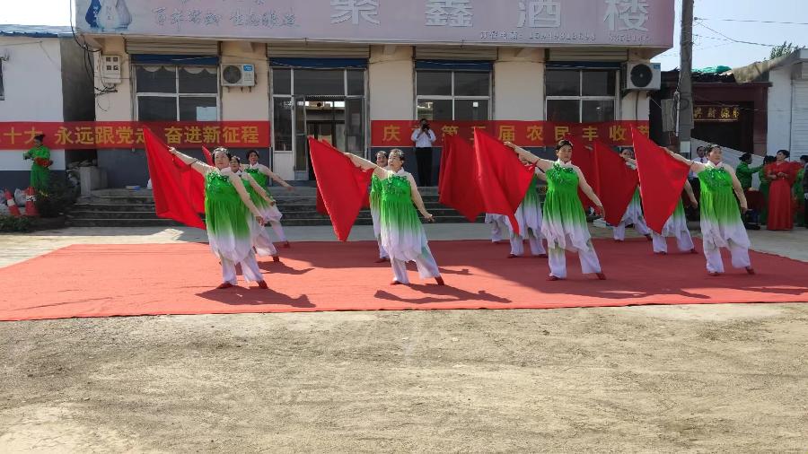 文艺下乡庆丰收 欢歌劲舞展风采(图3)