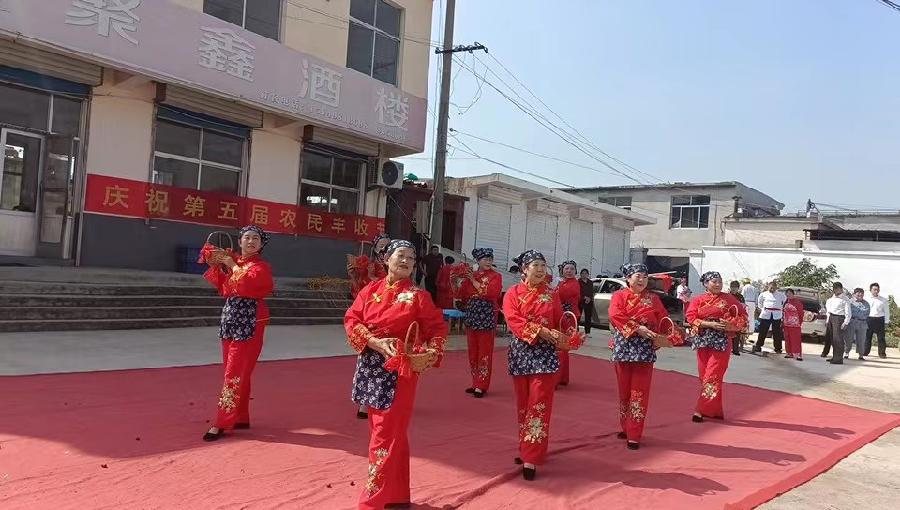 文艺下乡庆丰收 欢歌劲舞展风采（图4）