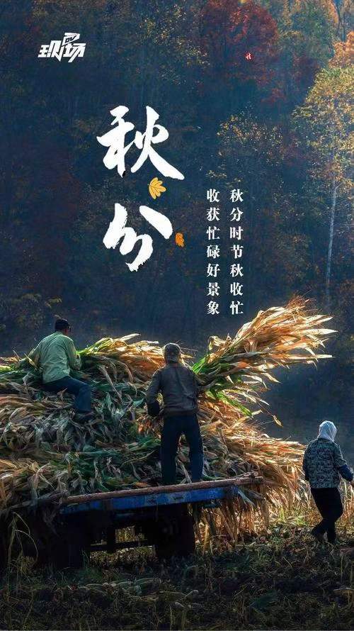 中华诗艺龙江分社推介/诗人林杨:秋分（图7）