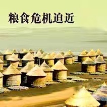 江月晃重山-寅年联大危机中恢复线下论坛*文/冯志清（上海）【冰心文化传媒】（图8）