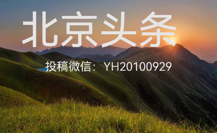 《战新冠灾重来抒吟》联机全球发布袁华成作品欣赏