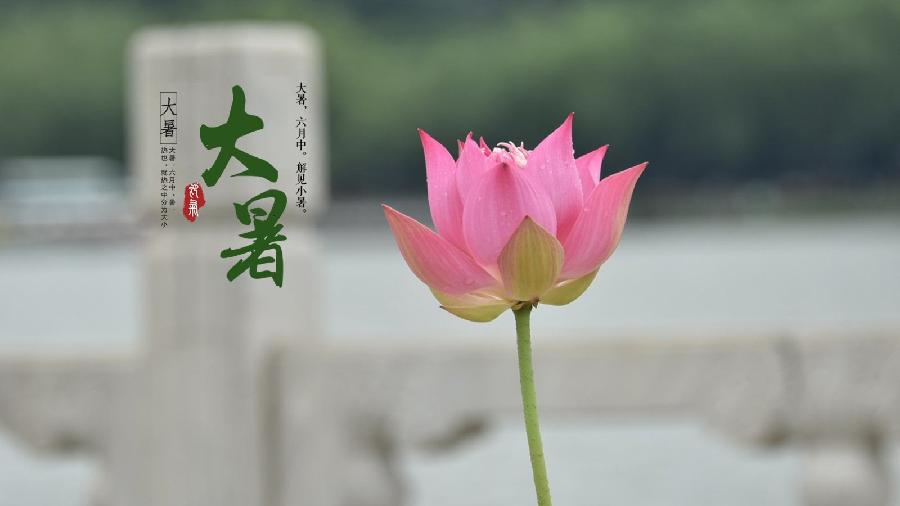 【世文联】名誉理事蔡忠成(情系山水)诗词专辑(图7)