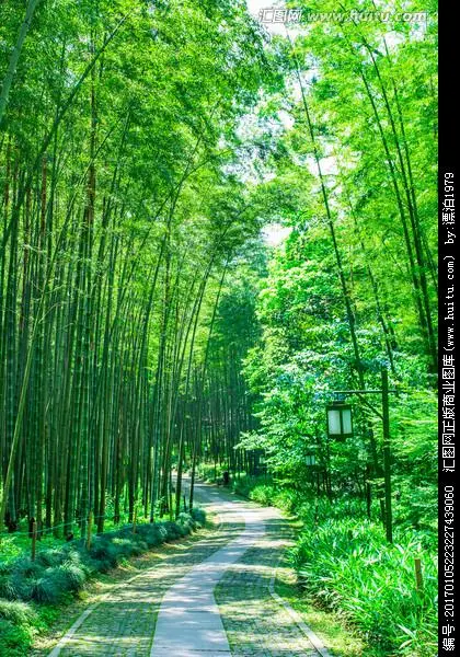 读新作 五排律.咏竹作者:吴云钦