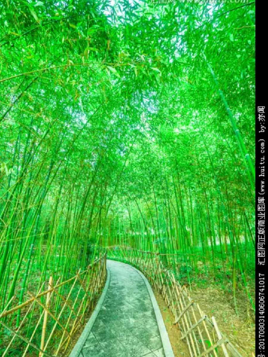 读新作 五排律.咏竹作者:吴云钦（图4）