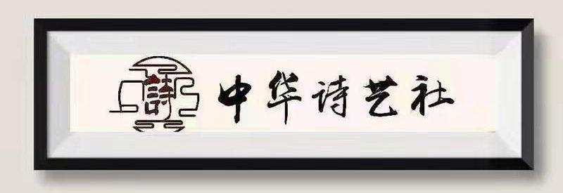【澳门分社】300期 精品推荐：文／延青巜弦上的月亮》（图4）