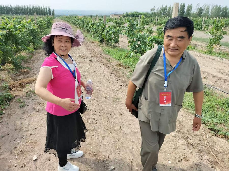 于金奎七律十六首(2022.8.1~8.16)(图31)