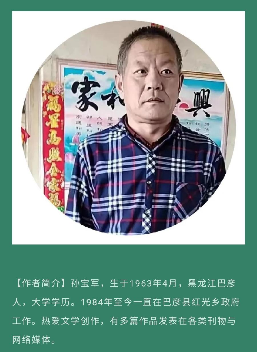 中华诗艺龙江分社推介/孙宝军七绝五首(新韵)（图4）