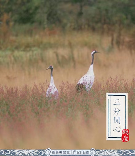 秋分特刊