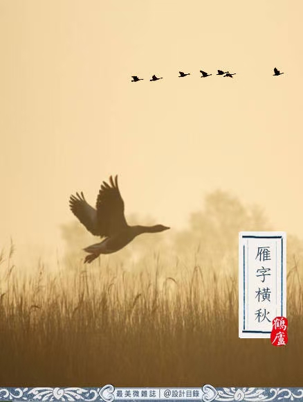 秋分特刊（图6）