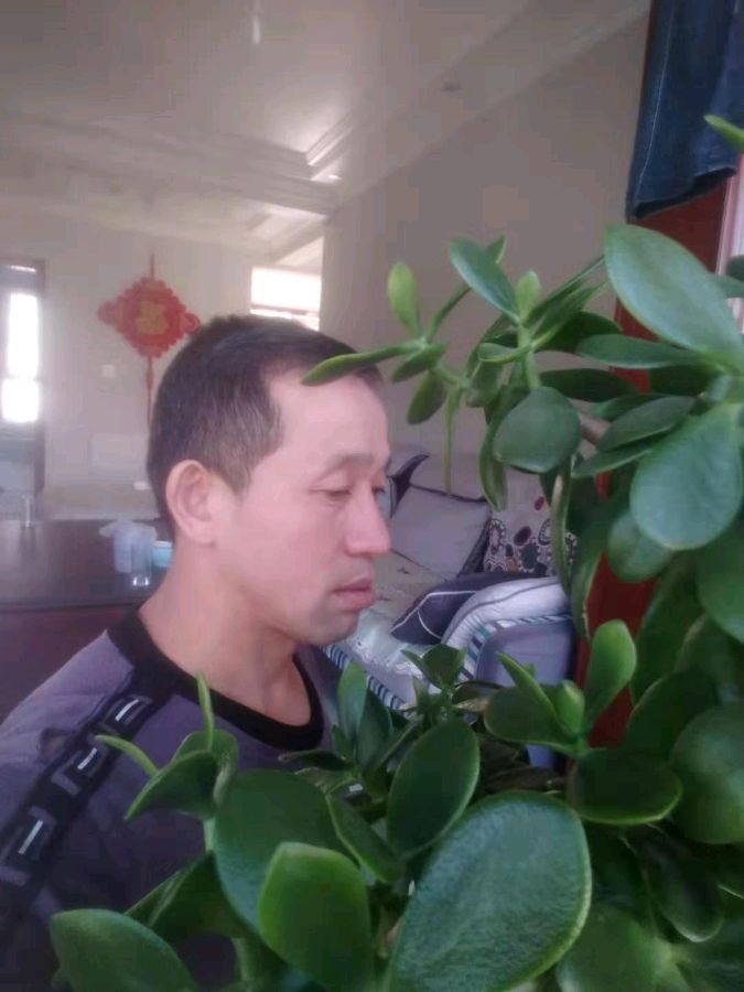 （诗歌小辑）作者 竹叶（延安）【冰心文化传媒】（图14）